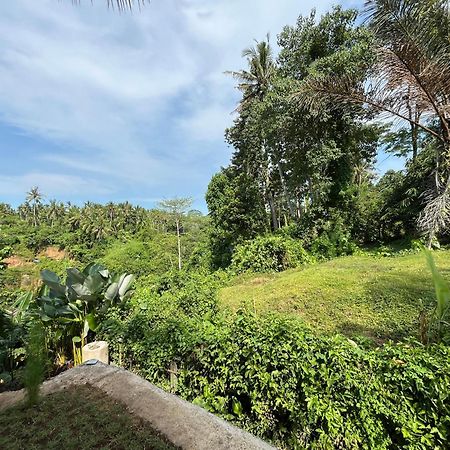 أوبود D'Nanda Villa المظهر الخارجي الصورة