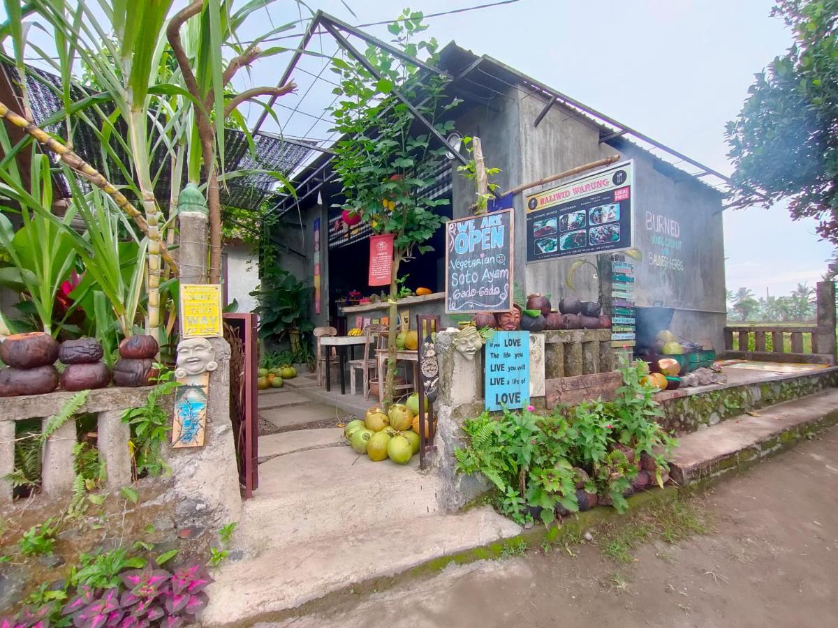أوبود D'Nanda Villa المظهر الخارجي الصورة