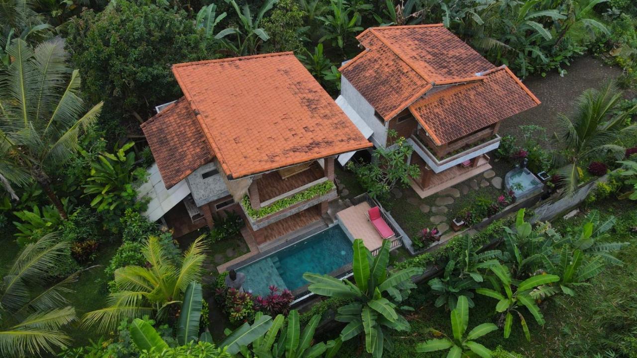 أوبود D'Nanda Villa المظهر الخارجي الصورة