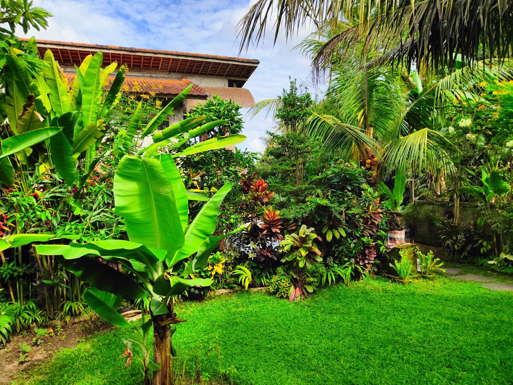 أوبود D'Nanda Villa المظهر الخارجي الصورة