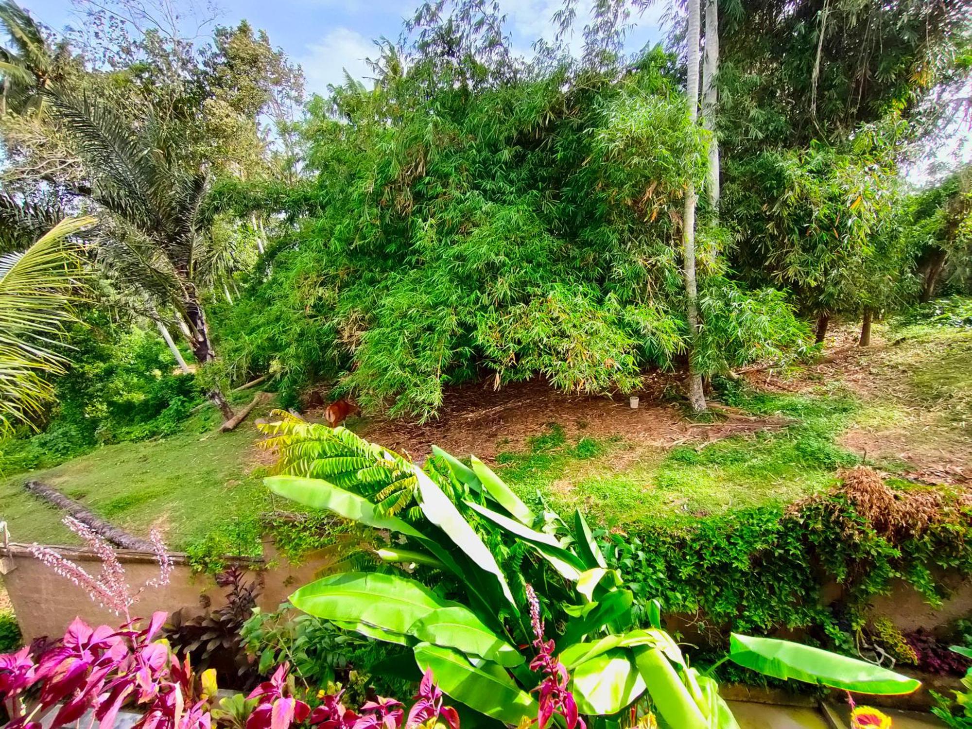 أوبود D'Nanda Villa الغرفة الصورة