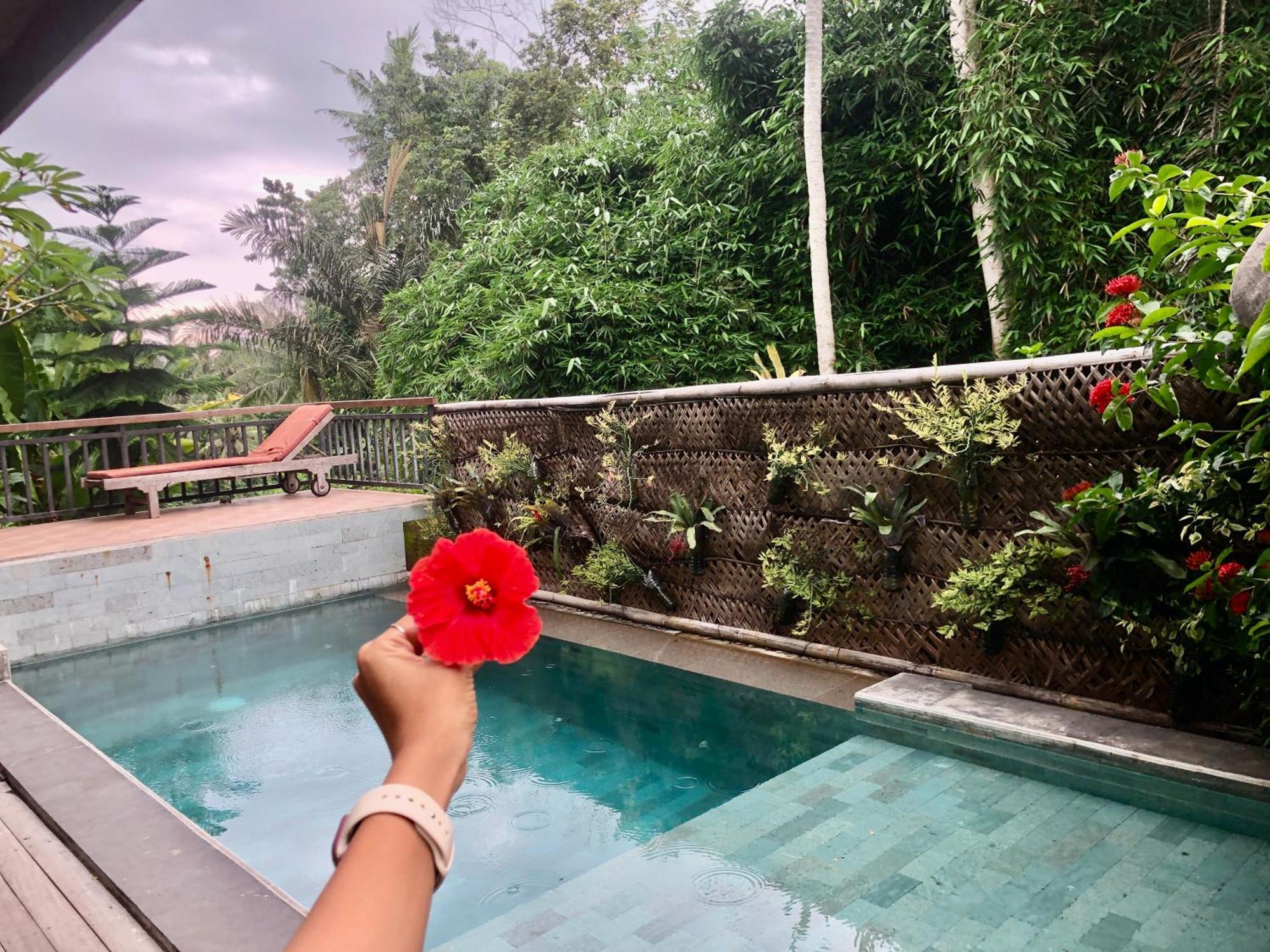 أوبود D'Nanda Villa المظهر الخارجي الصورة