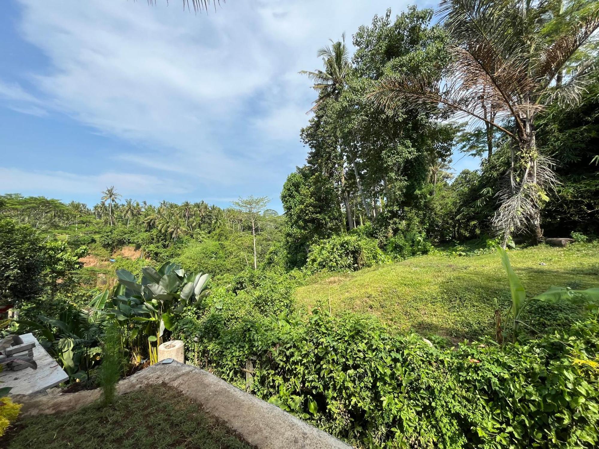 أوبود D'Nanda Villa المظهر الخارجي الصورة